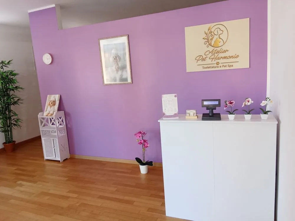 L'accoglienza dell'atelier con il logo sulla parete lilla